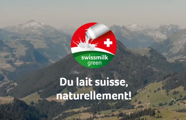 5_Tapis-Vert_Pays.jpg