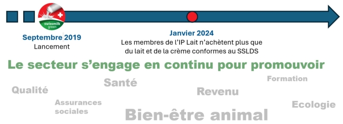 5_Tapis-Vert_Prod.jpg